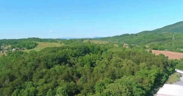 Aerial view the fresh summer forest in the North Carolina — Stock Video