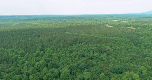 Summer Landscape with beautiful mountain forest panorama with green mountains North Carolina — Stok video