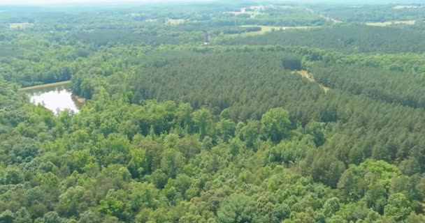 Beautiful summer mountain landscape over green summer forest in North Carolina US — Vídeo de Stock