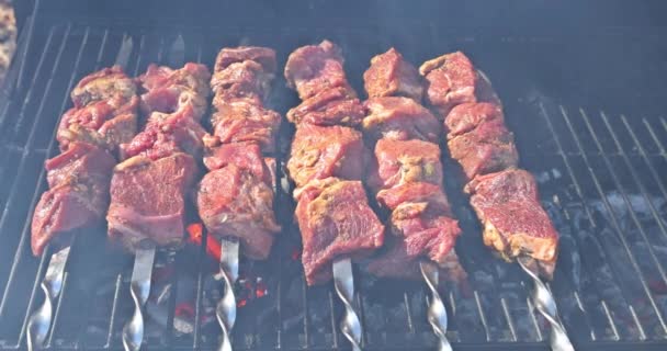 Barbecue on the grill of delicious beef skewers with smoke from the coals — Vídeo de Stock
