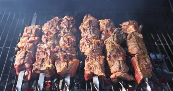 Roasted meat cooked at barbecue BBQ fresh beef slices with grilled kebab cooking — Stock Video