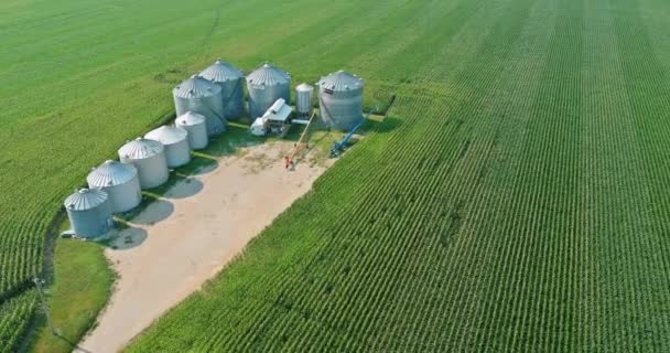 Modern granary elevator on agro processing drying cleaning and storage of agricultural products grain — Video