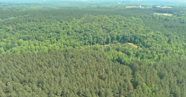 Aerial top view forest trees the middle lake of the forest in North Carolina — Vídeo de Stock