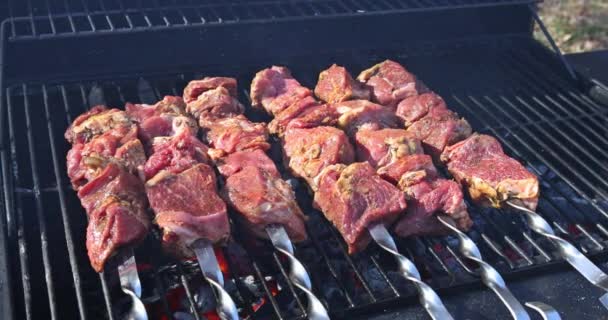 Barbecue on the grill of delicious beef skewers — Vídeo de Stock
