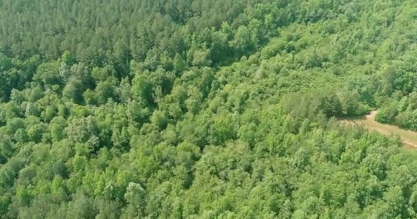 Όμορφο καλοκαιρινό ορεινό τοπίο πάνω από πράσινο δάσος καλοκαίρι στη Βόρεια Καρολίνα ΗΠΑ — Αρχείο Βίντεο