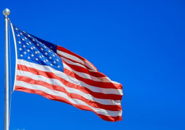 USA flag on flagpole with American flag - symbol of freedom and law in the Great Country of the USA