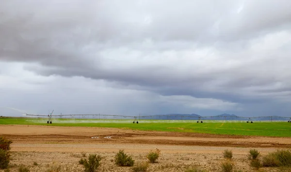 stock image Modern automated agriculture system with large irrigation sprinklers spraying water over lush crops on watering green field