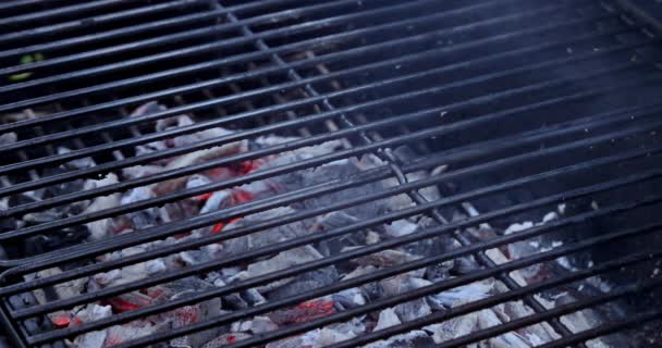Saftiges rohes Schweinefleischsteak gebraten Feuer Kohlen Grill in Flammen von Rauch — Stockvideo
