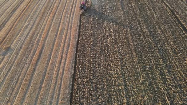 Agricultor en tractor en el trabajo preparando la tierra de arado con el campo agrícola — Vídeos de Stock