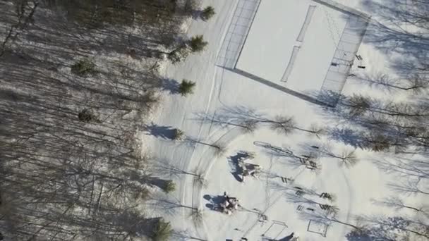 Paysage hivernal magique arbres forestiers couverts de neige en période hivernale — Video