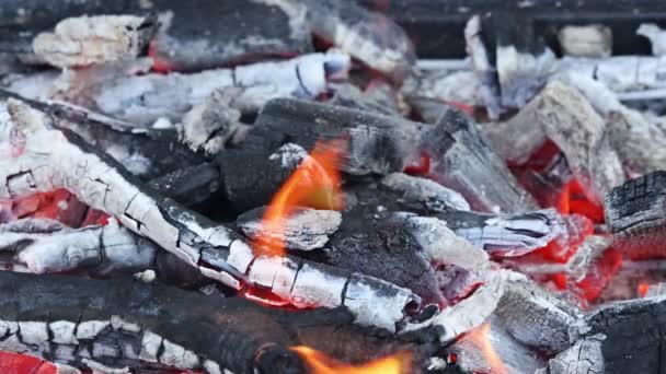 Fiamma di fuoco da bruciare carbone di legna nel falò sulla griglia — Video Stock