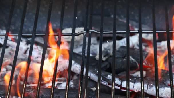 Grillgrill pit med glødende brændende ild i ilden – Stock-video
