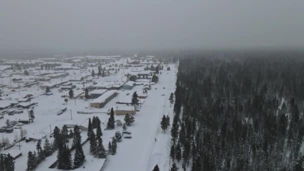 서리가 내리는 겨울철에는 눈덮인 집, 주차 해 놓은 자동차 나무들의 꼭대기에서 바라본 하늘 — 비디오