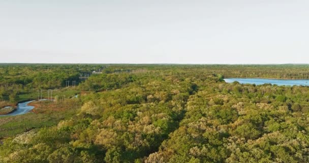 숲 근처에 호수가 있는 파노라마같은 풍경 — 비디오