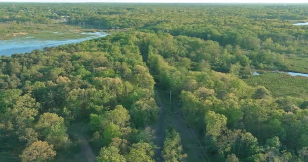 Bosque creciendo en ambas orillas del río en la hierba crece cerca del agua en la orilla — Vídeos de Stock