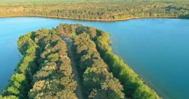 Güzel ormanın yakınındaki gölette peyzaj panoramik