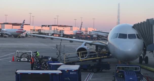 Beladen des Flugzeugs mit Taschen und Koffern vor dem Abflug auf dem internationalen Flughafen Charlotte douglas — Stockvideo
