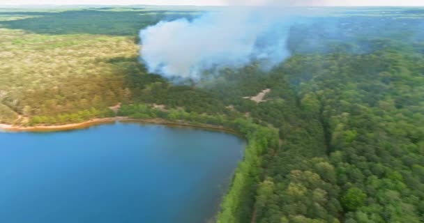 Fumaça branca na floresta de fogo ardente — Vídeo de Stock