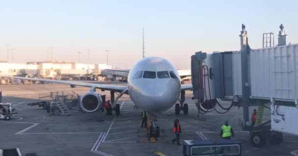 American Airline Flugzeug nach der Landung im internationalen Terminal das Flugzeug zum Gate — Stockvideo