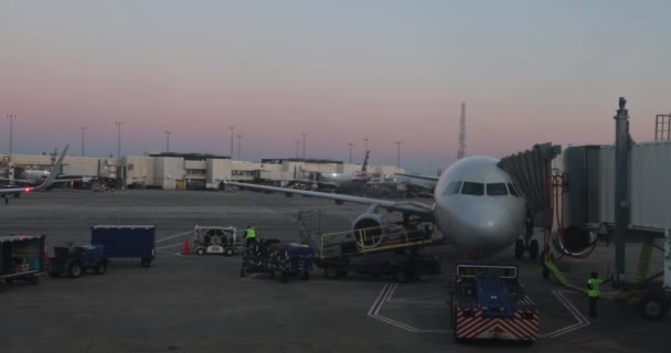 Amerikan Havayolları 'na çanta ve bavulları boşaltmadan önce uçuş hazırlığı. — Stok video