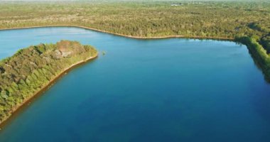 Parktaki yeşil orman tarlasının yanındaki göl.