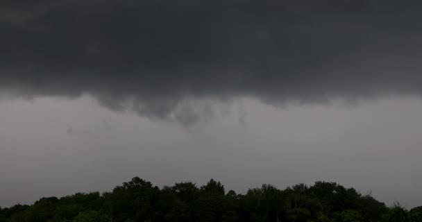 En forgrenet lyn kravler gennem luften under et alvorligt tordenvejr – Stock-video