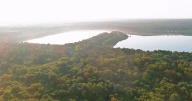 Sisli göl üzerindeki hava manzarası sabah suların yanında büyüyen yeşil orman.