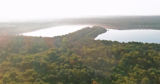 Letecký pohled na krajinu přes mlhavé zamlžené jezero zelený les rostoucí v blízkosti vody v ranních hodinách — Stock video