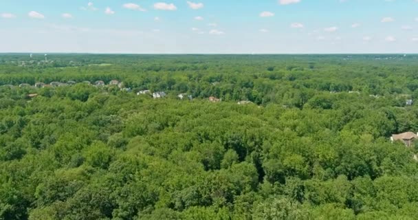 Повітряний вид на невелику житлову зону маленьке містечко Монро між лісовим ландшафтом Нью-Джерсі США — стокове відео
