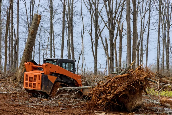 Árvore Limpeza Para Preparação Habitação Terreno Nova Construção Desenvolvimento Residencial — Fotografia de Stock