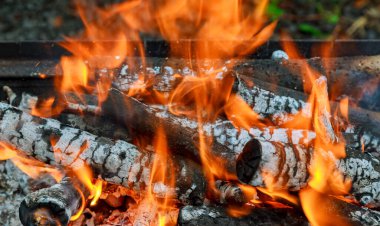Barbekü, Hdr görüntü Barbekü yangın odun yanan alevler ve parlayan kömür