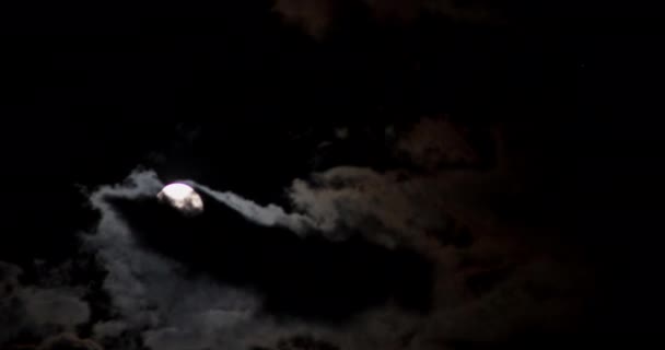 Полнолуние движется по темному небу — стоковое видео