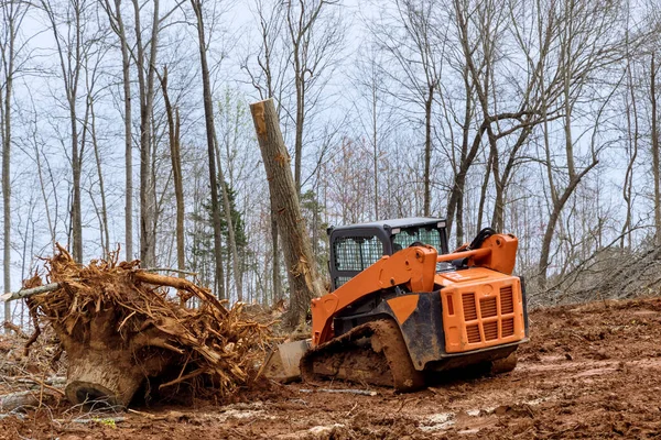 Trator Skid Steer Limpeza Terras Raízes Exploração Florestal Para Desenvolvimento — Fotografia de Stock