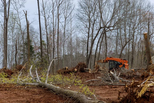 Novo Trator Desenvolvimento Trabalhando Terra Clareira Propriedade Florestal Clareando Raiz — Fotografia de Stock