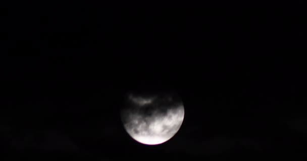 Великий повний місяць рухається по небу вгорі вночі — стокове відео