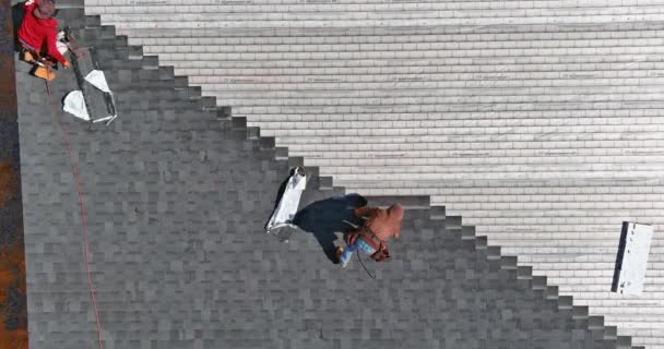 Mains de toit installant des bardeaux d'asphalte sur le toit de construction de la maison avec marteau et clous — Video