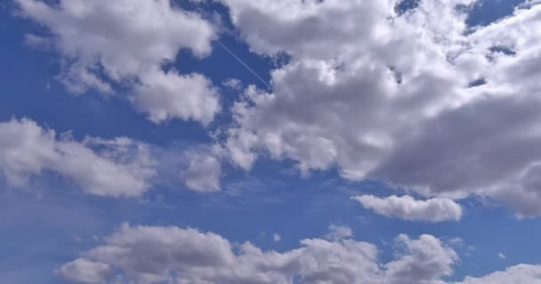 Weiße, flauschige Kumuluswolken fliegen, blauer Himmel bei sich schnell bewegenden Wolken — Stockvideo