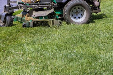 Machine for cutting lawns mover on green grass in garden