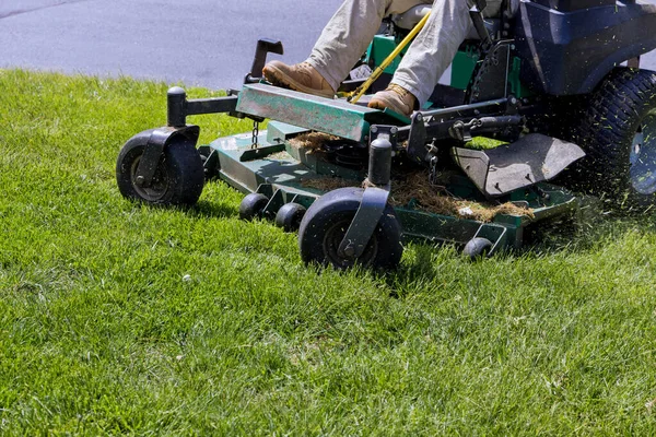 Pemotong rumput Lawn memotong rumput hijau di halaman belakang, memotong rumput — Stok Foto