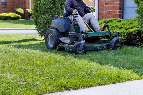 Evergreen landscaped garden with man cut lawn using gasoline-powered self-propelled lawn mower — Stok Foto