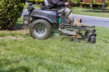 Worker pour grass from lawn mower garden lawn cutting with summer works