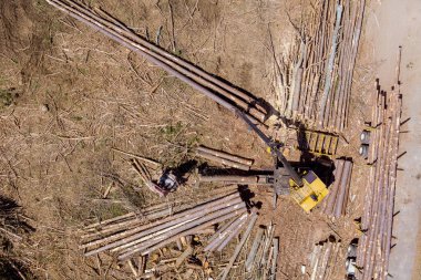 Kütük yükleyiciden büyük nakliye kamyonuna