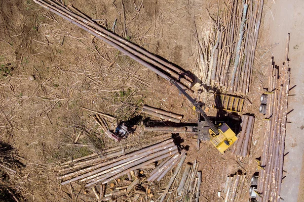 Kütük yükleyiciden büyük nakliye kamyonuna