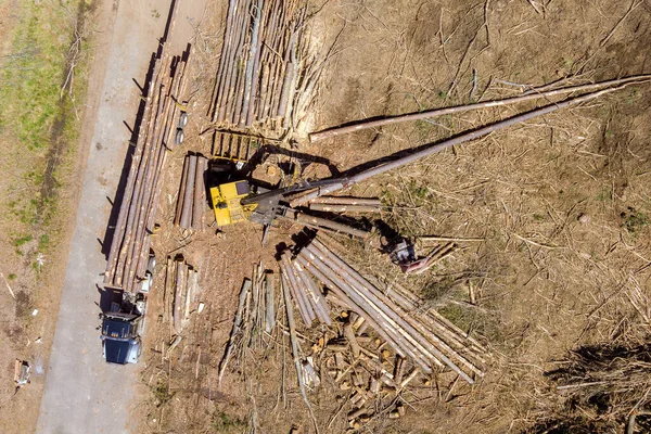 Aerial view on loading of logs a timber onto for truck — Stok fotoğraf