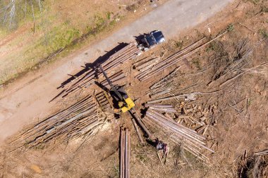 Turna operatörü kütükleri kamyona yüklüyor