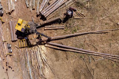 Orman makinesi ahşap kereste yükleyiciden kamyona