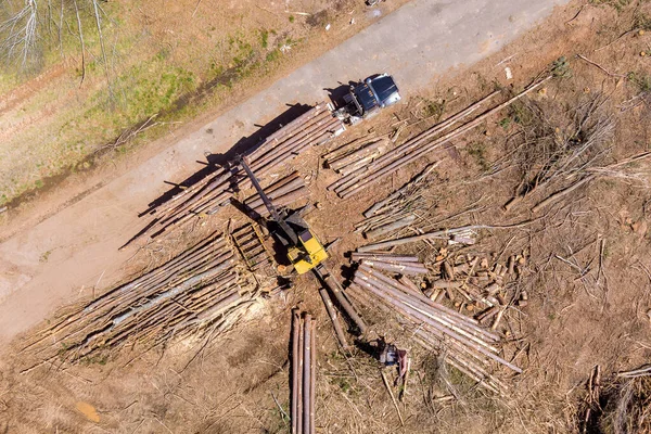Turna operatörü kütükleri kamyona yüklüyor