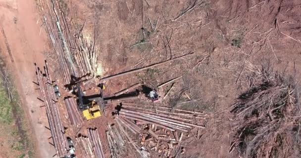 Aerial view of new construction plase on tree removal crane operator loading logs to truck — Wideo stockowe
