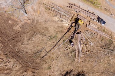 Ağaç kaldırma vinç operatörünün yeni inşaat alanının hava görüntüsü kütükleri kamyona yüklüyor