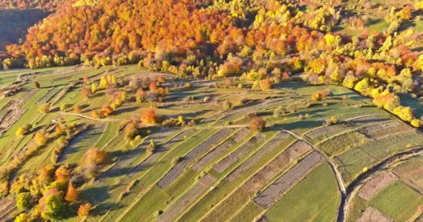 Aerial view of beautiful morning in the autumn landscape of the mountain — Stock Video